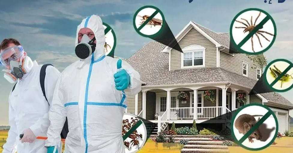 Read more about the article شركه تنظيف بالقطيف-0543689866